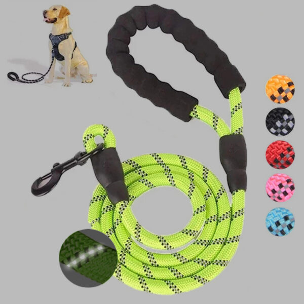 Small Medium Sized Pet Dog Luminous Leash Chain Puppies - Image 4